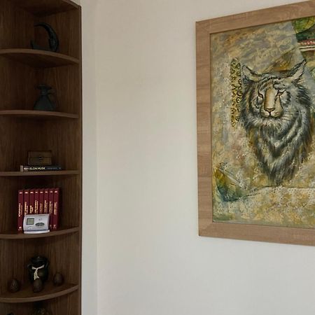 Вілла Casa Mountain View Брашов Екстер'єр фото