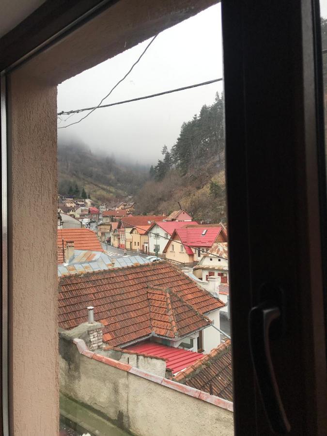 Вілла Casa Mountain View Брашов Екстер'єр фото