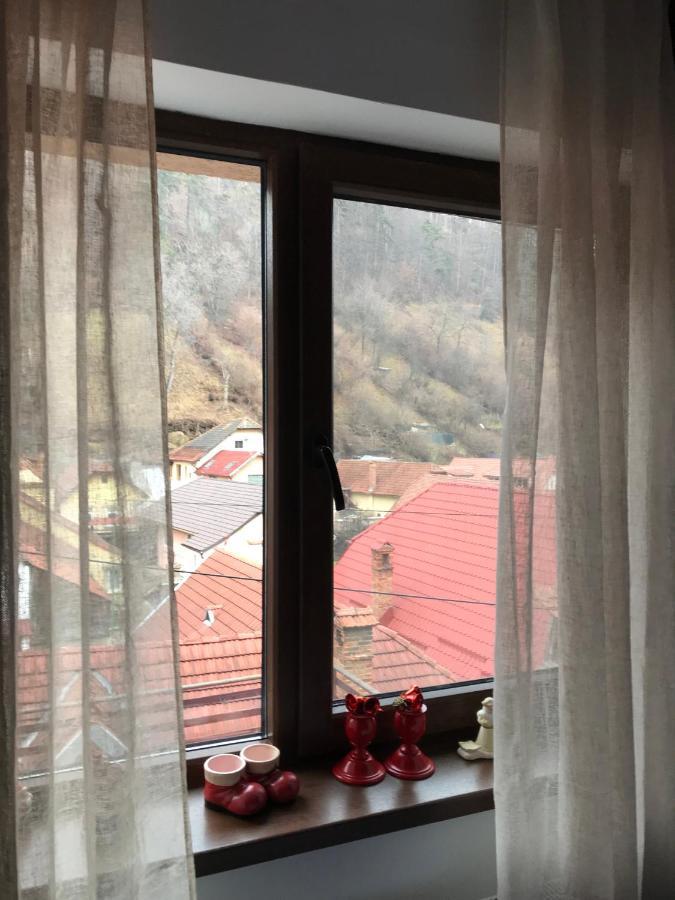 Вілла Casa Mountain View Брашов Екстер'єр фото