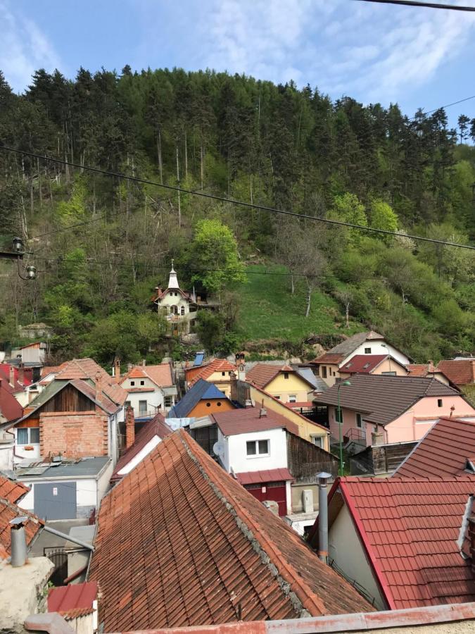Вілла Casa Mountain View Брашов Екстер'єр фото