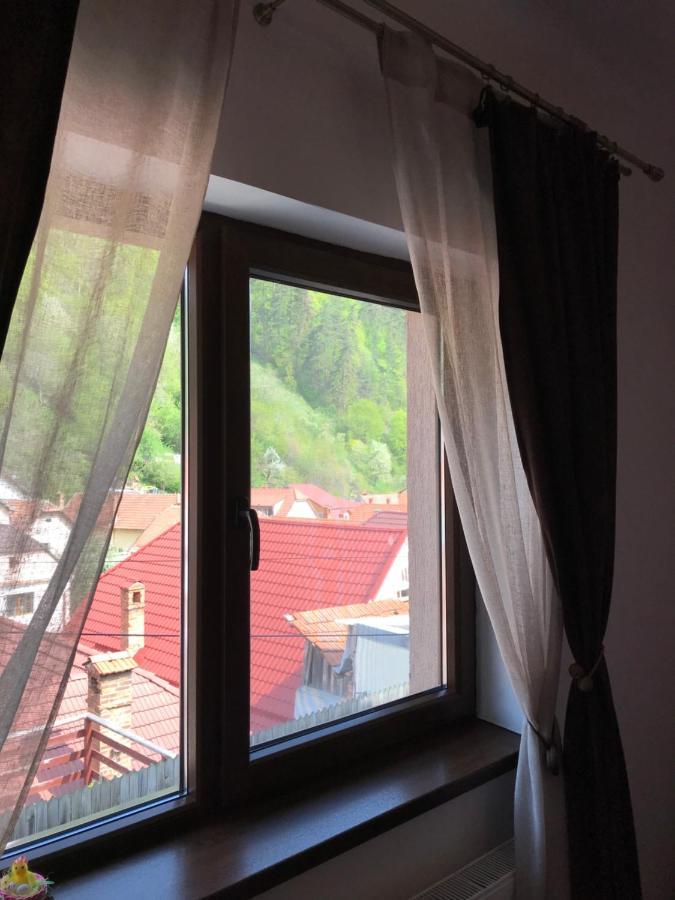 Вілла Casa Mountain View Брашов Екстер'єр фото