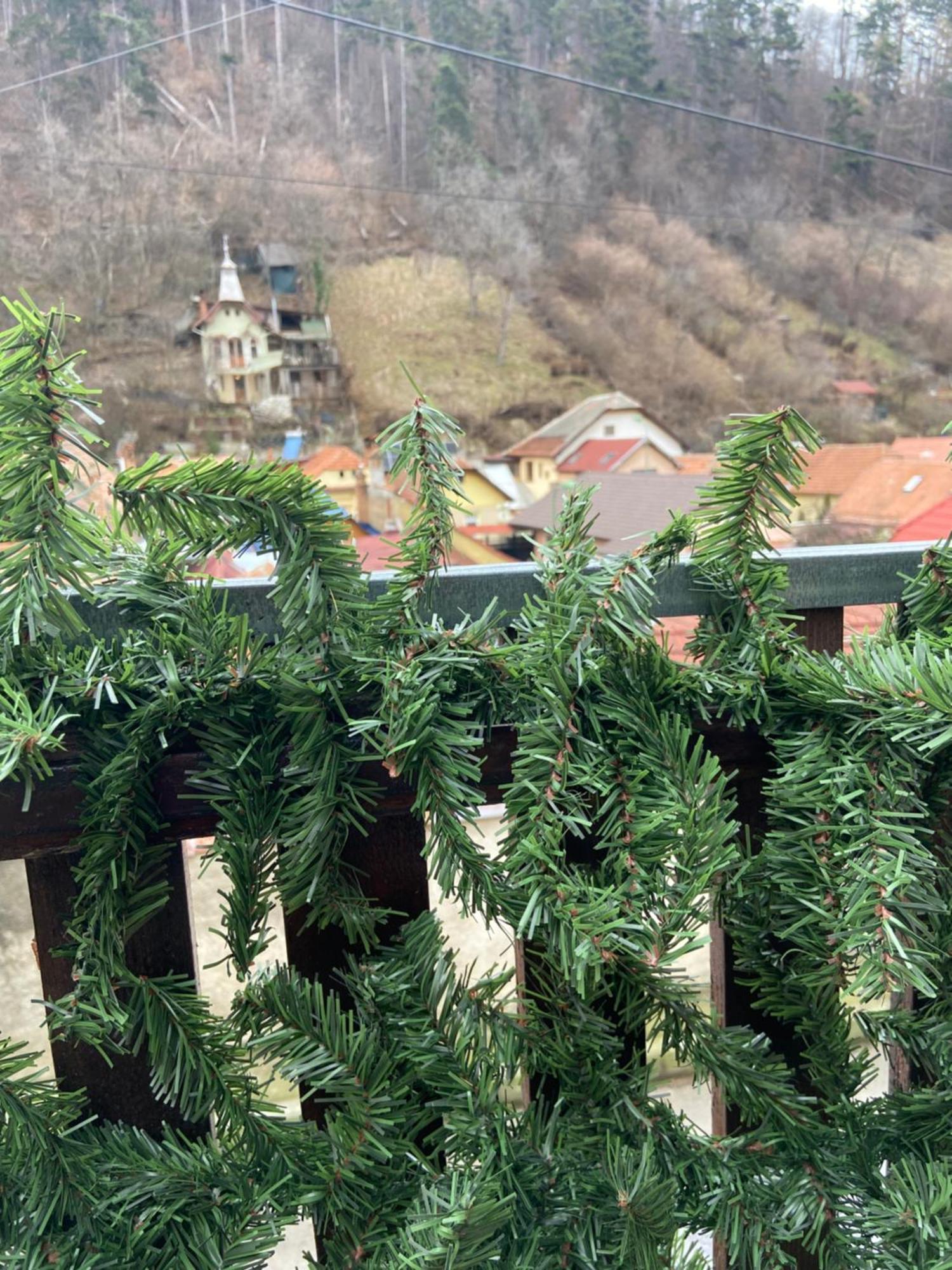 Вілла Casa Mountain View Брашов Екстер'єр фото